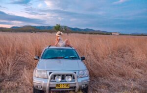 Road Trip Perdana Sydney-Cairns? Siapa Takut!