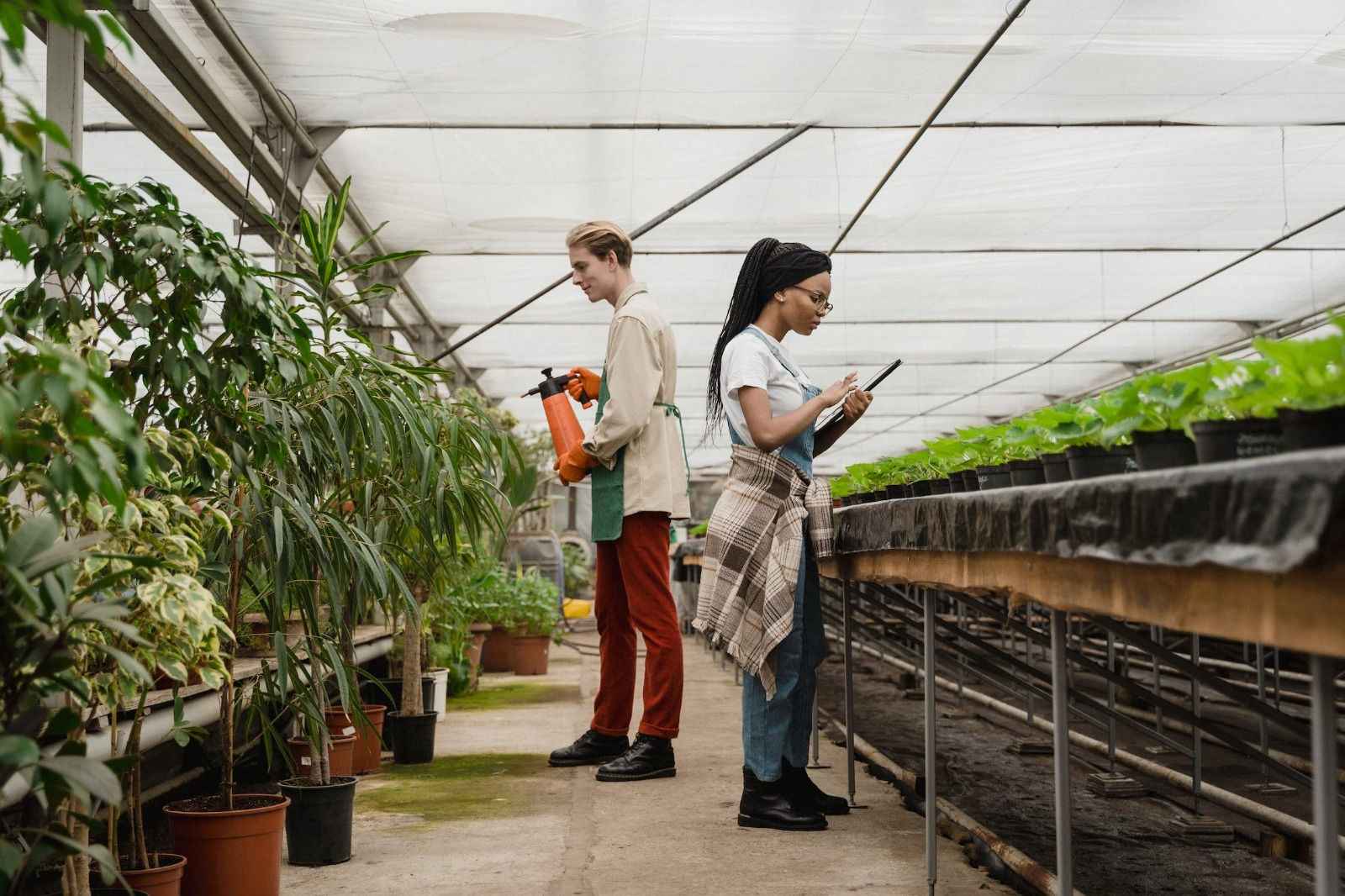 dua orang dewasa sedang berkebun di Australia